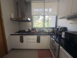 Beaufort On Nassim (D10), Condominium #566452291